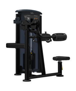 Alternative view of Impulse IT95 Lateral Raise, Sort