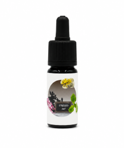 Just-Be Saunaduft StressedOut 10ml